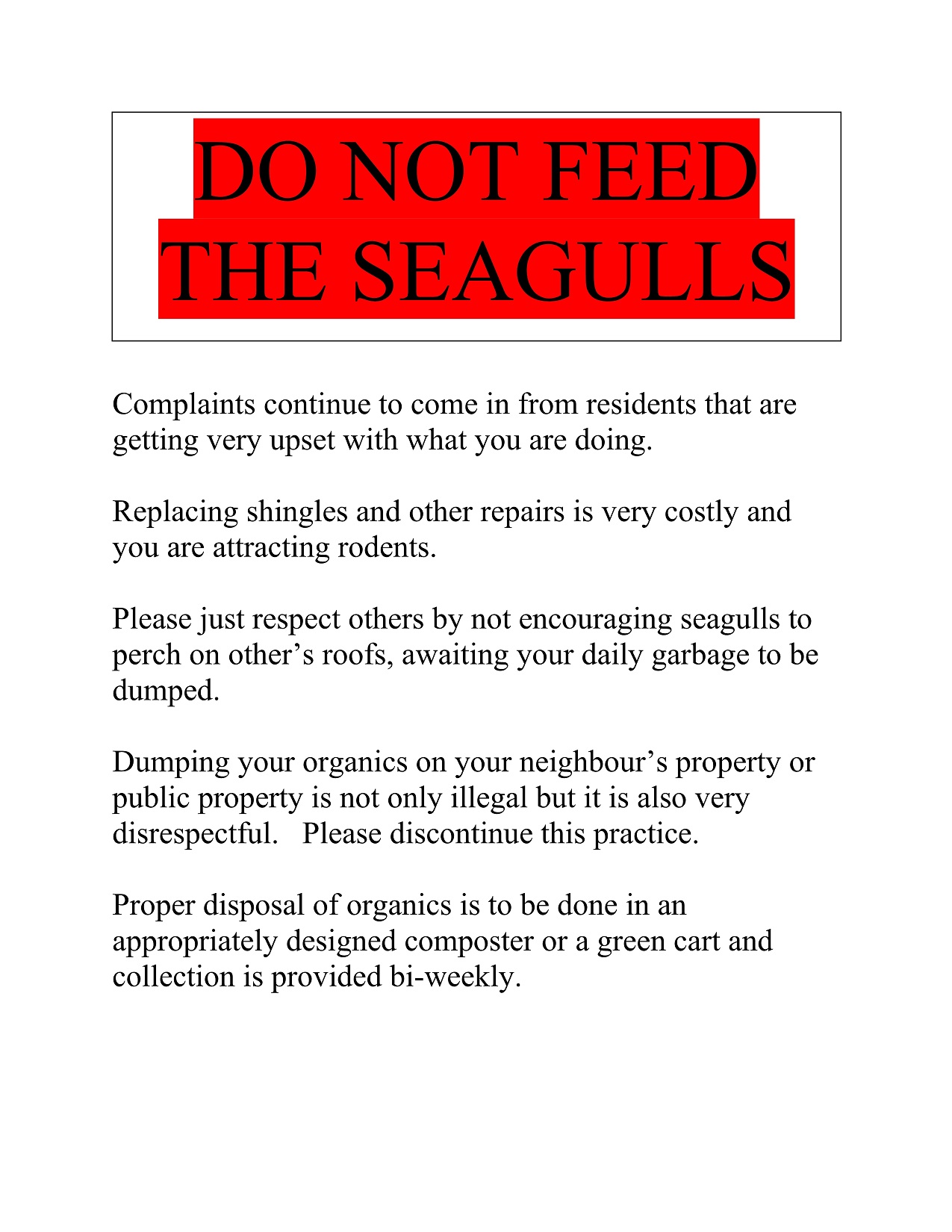 Feeding Seagulls